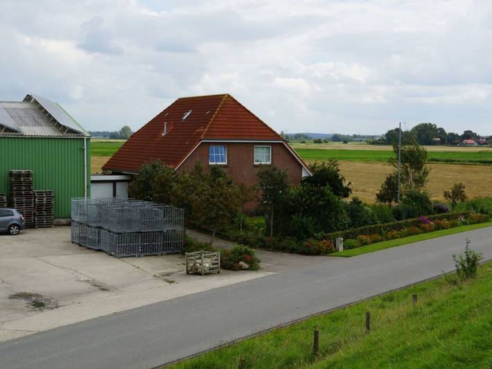 Ferienhof Witt - Ferienwohnung Witt in Elpersbüttel, Kreis Dithmarschen