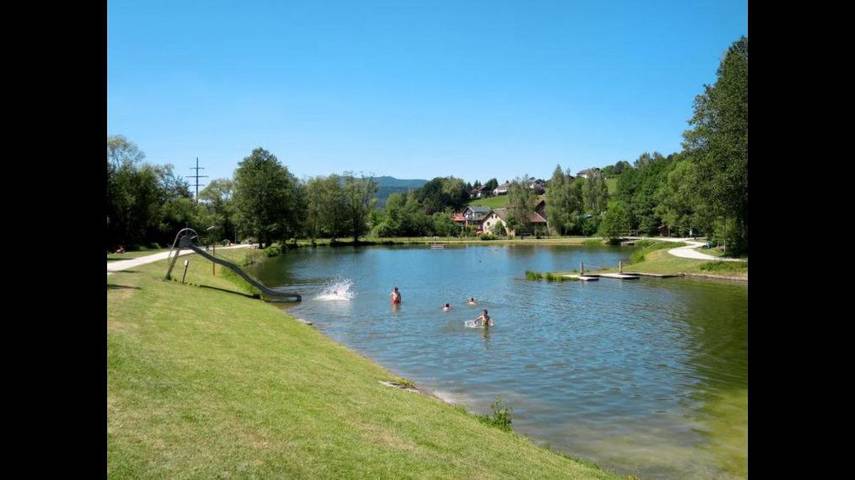 Ferienhaus für 4 Personen, mit Terrasse und Garten, mit Haustier in Arrach - 3
