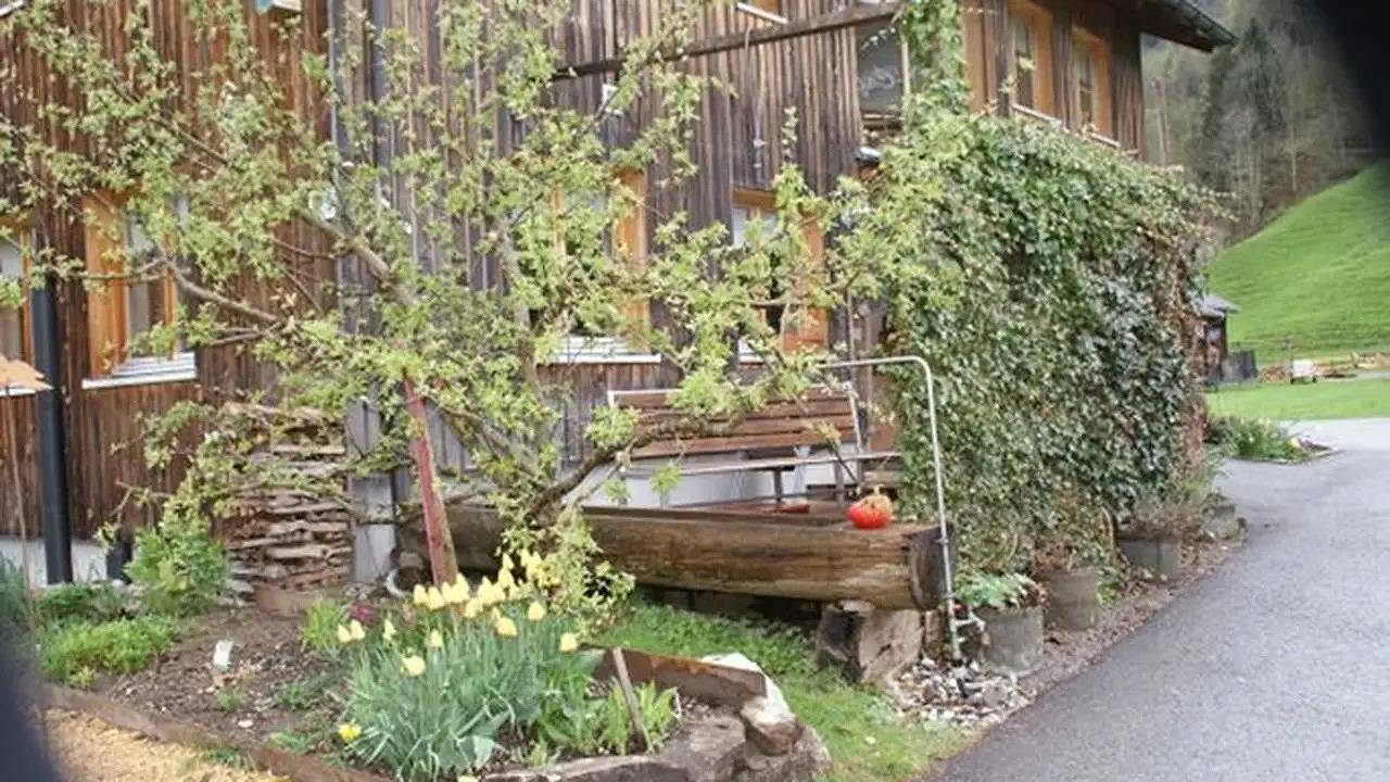 Geheel vakantieappartement, Vakantieappartement voor 5 personen met tuin in Schoppernau, Bregenzerwoud
