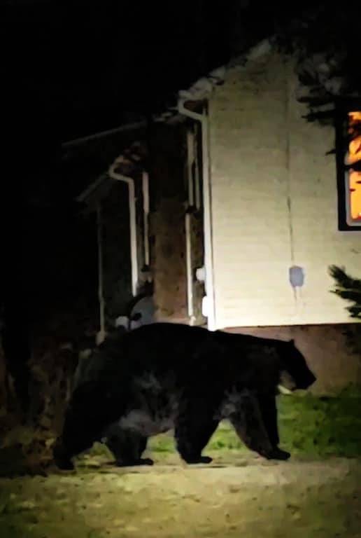 Ganze Wohnung, Bear Haven Cozy Poconos Cabin in Pike County