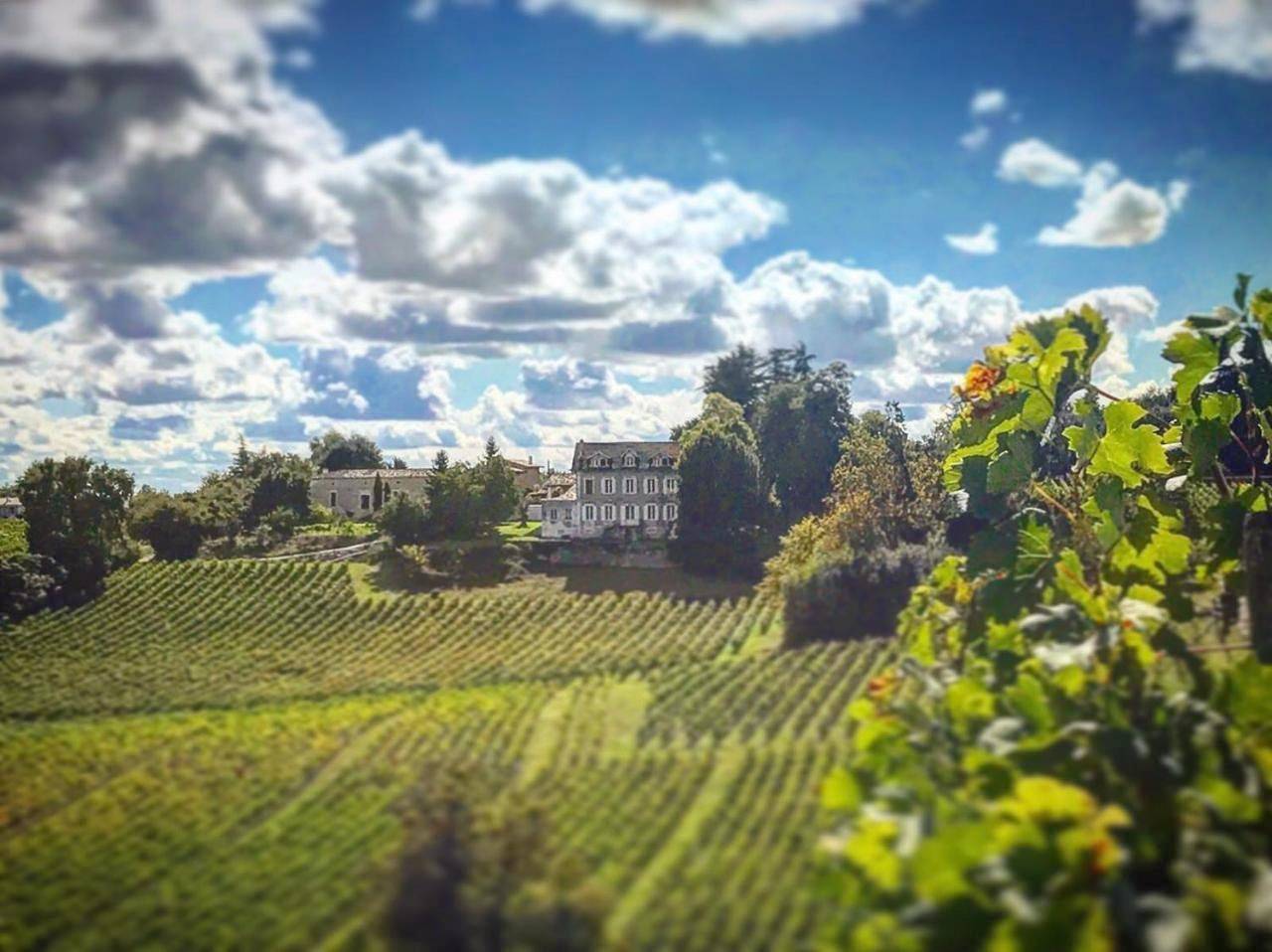Chateau La Fontaine in Fronsac, Région de Libourne