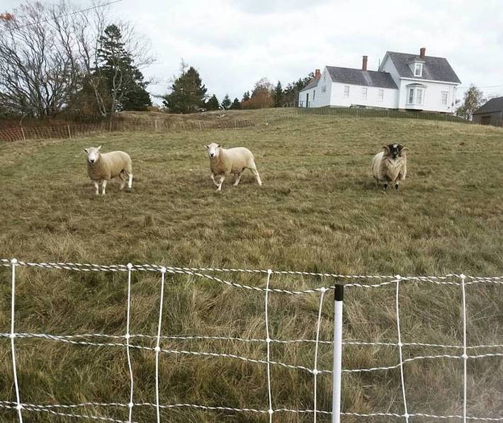 Ferienhaus für 4 Personen, mit Terrasse und Garten - 1
