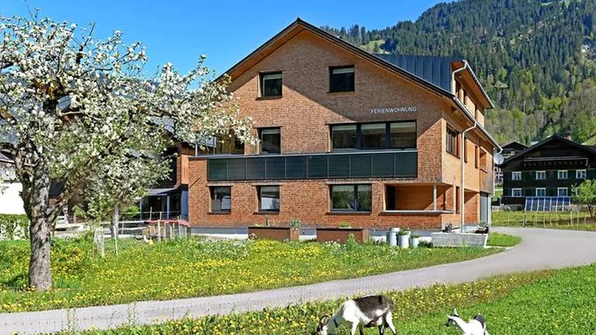 Ferienwohnung für 9 Personen, mit Balkon in Schoppernau