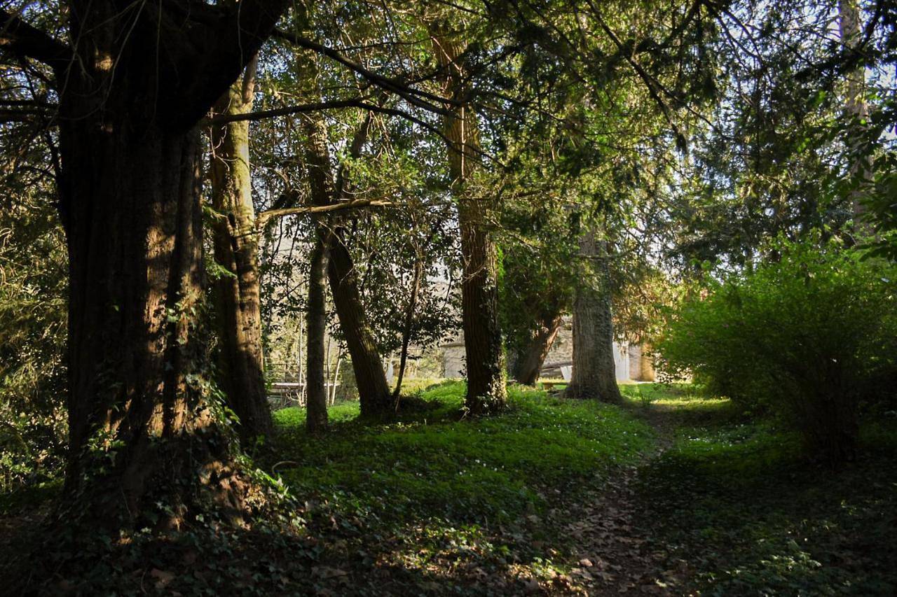 La Selva in Busserolles, Parc naturel régional Périgord-Limousin