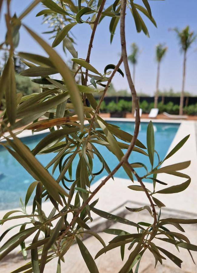 Maison d’hôte pour 2 personnes, avec jardin et piscine dans Sidi Youssef Ben Ali