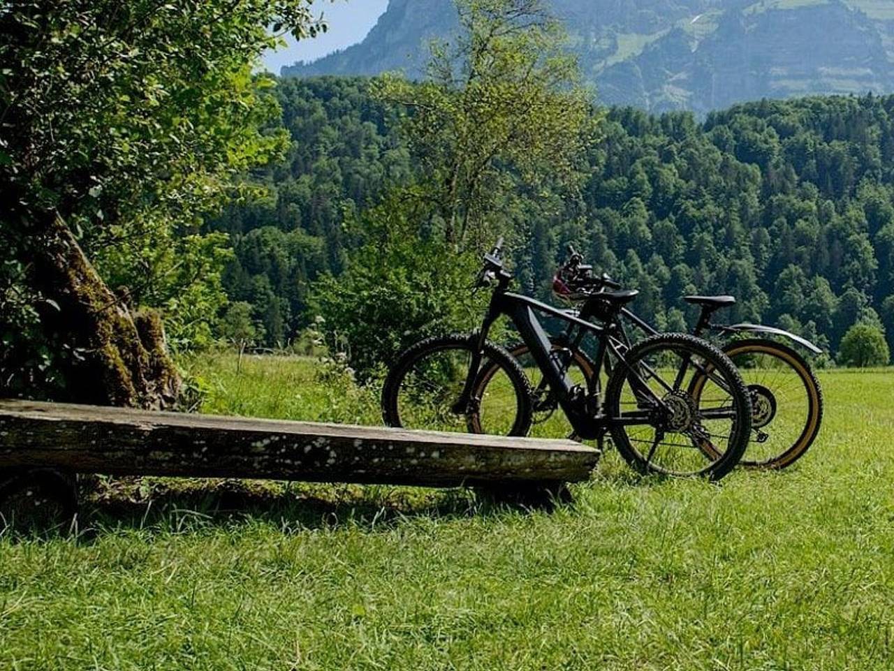 Ganze Ferienwohnung, Ferienhaus Bär - Ferienwohnung für bis zu 2 Personen in Bizau, Bregenzerwald