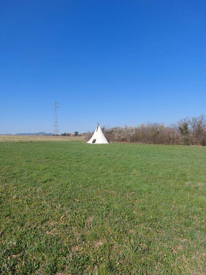 Gîte pour 4 personnes, animaux acceptés dans Saint-Jean-de-Touslas - 4