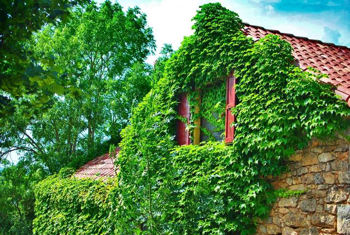 Gîte pour 10 personnes, avec jardin et balcon à Compeyre - 3