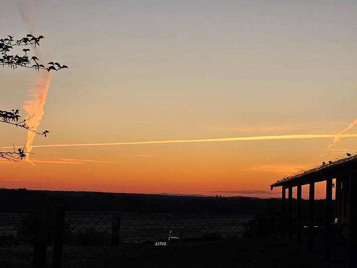 Hotel para 2 personas, con jardín y piscina además de terraza y vistas, Se admiten mascotas en Parque Nacional de Monfragüe - 4