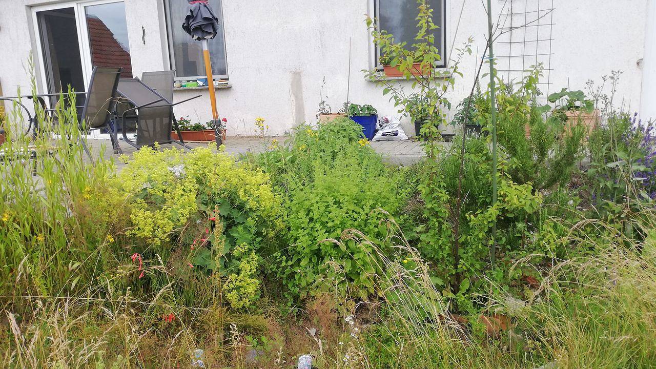 Ganze Ferienwohnung, Ferienwohnung für 4 Personen (75 m²) in Wittenburg in Wittenburg, Mecklenburgisches Elbetal