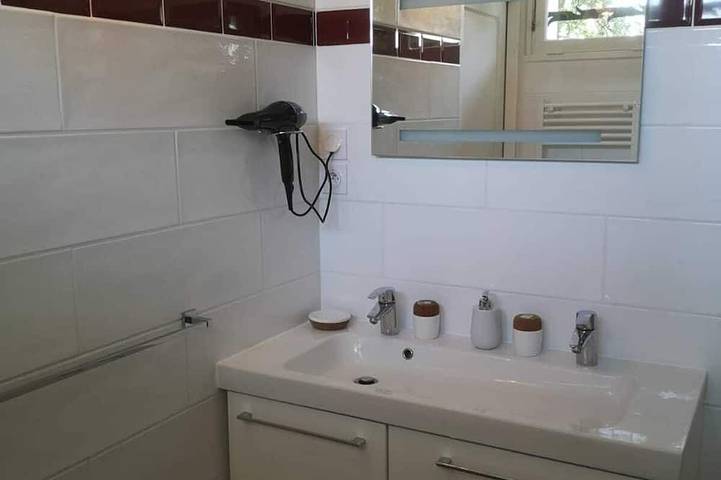 Gîte pour 4 personnes, avec jardin et terrasse, animaux acceptés à Châteauneuf-de-Galaure - 4