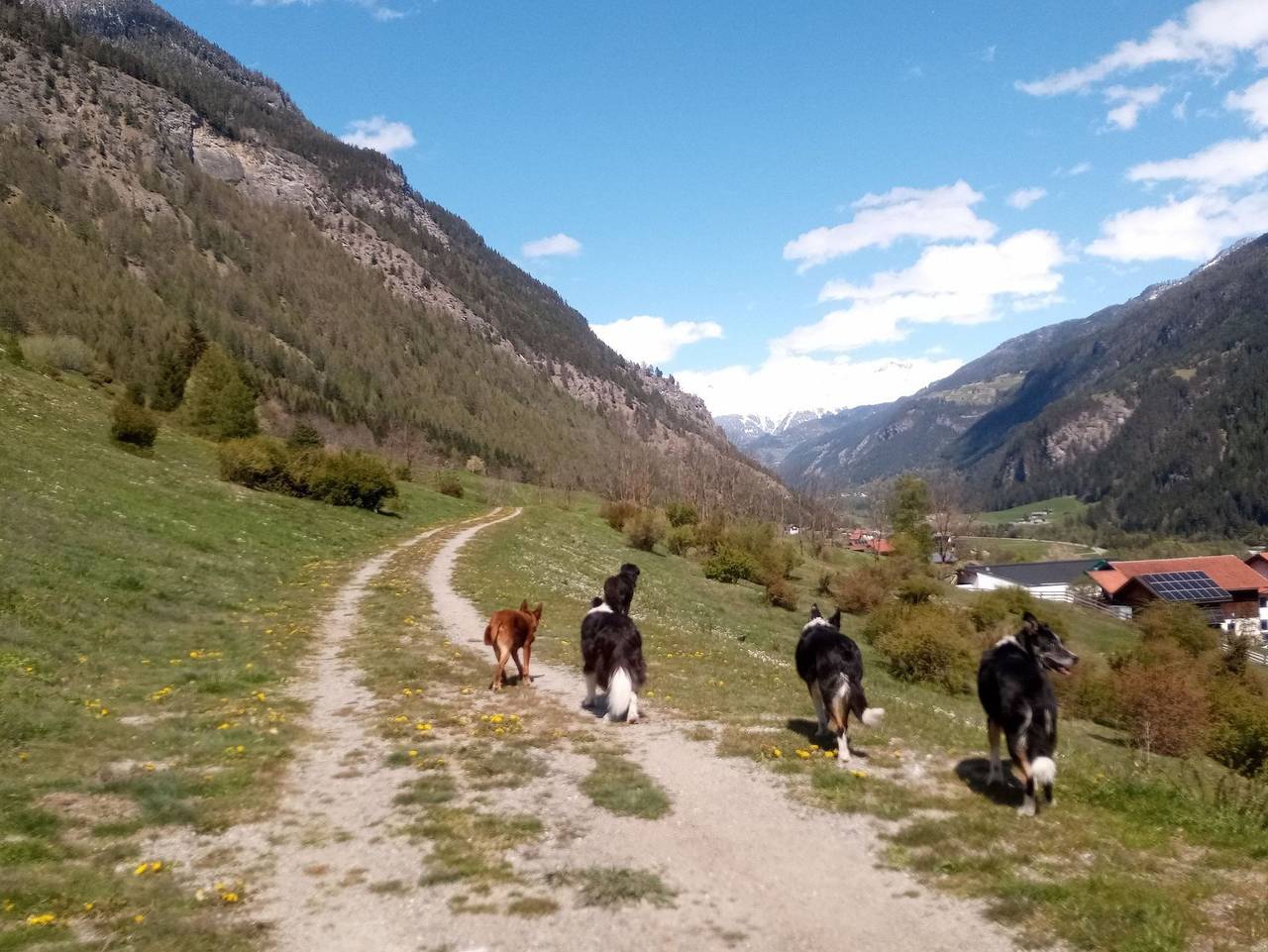Ganze Ferienwohnung, Abseits  -  Urlaub mit Hund - Ferienwohnung Abseits in Pfunds, Tiroler Oberland