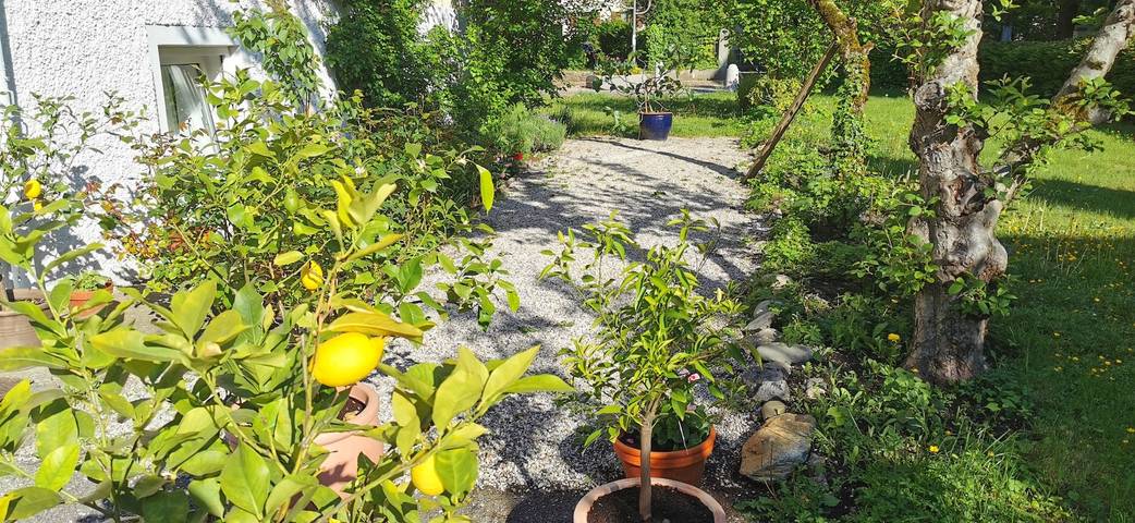 Ferienwohnung für 3 Personen, kinderfreundlich in Bad Reichenhall - 3