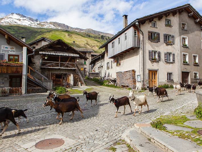 Hütte für 6 Personen, mit Balkon, mit Haustier in der Schweiz - 4