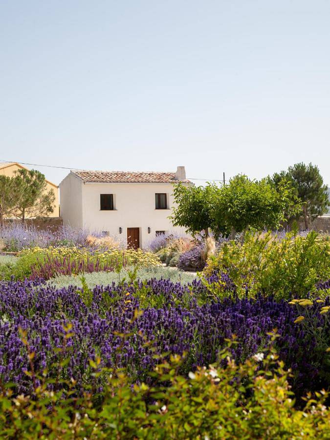 Hotel para 2 personas, con sauna y jardín en Castrojeriz - 4