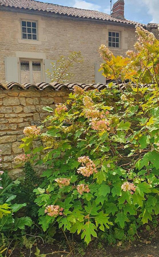 Location de vacances pour 6 personnes, avec vue et jardin à Verteuil-sur-Charente - 2