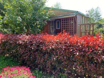 Maison de campagne pour 4 personnes, avec vue et jardin à Sorbo-Ocagnano