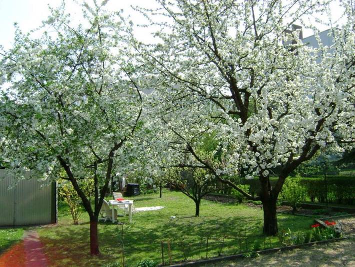 Ferienhaus für 6 Personen, mit Garten in Budapest - 4