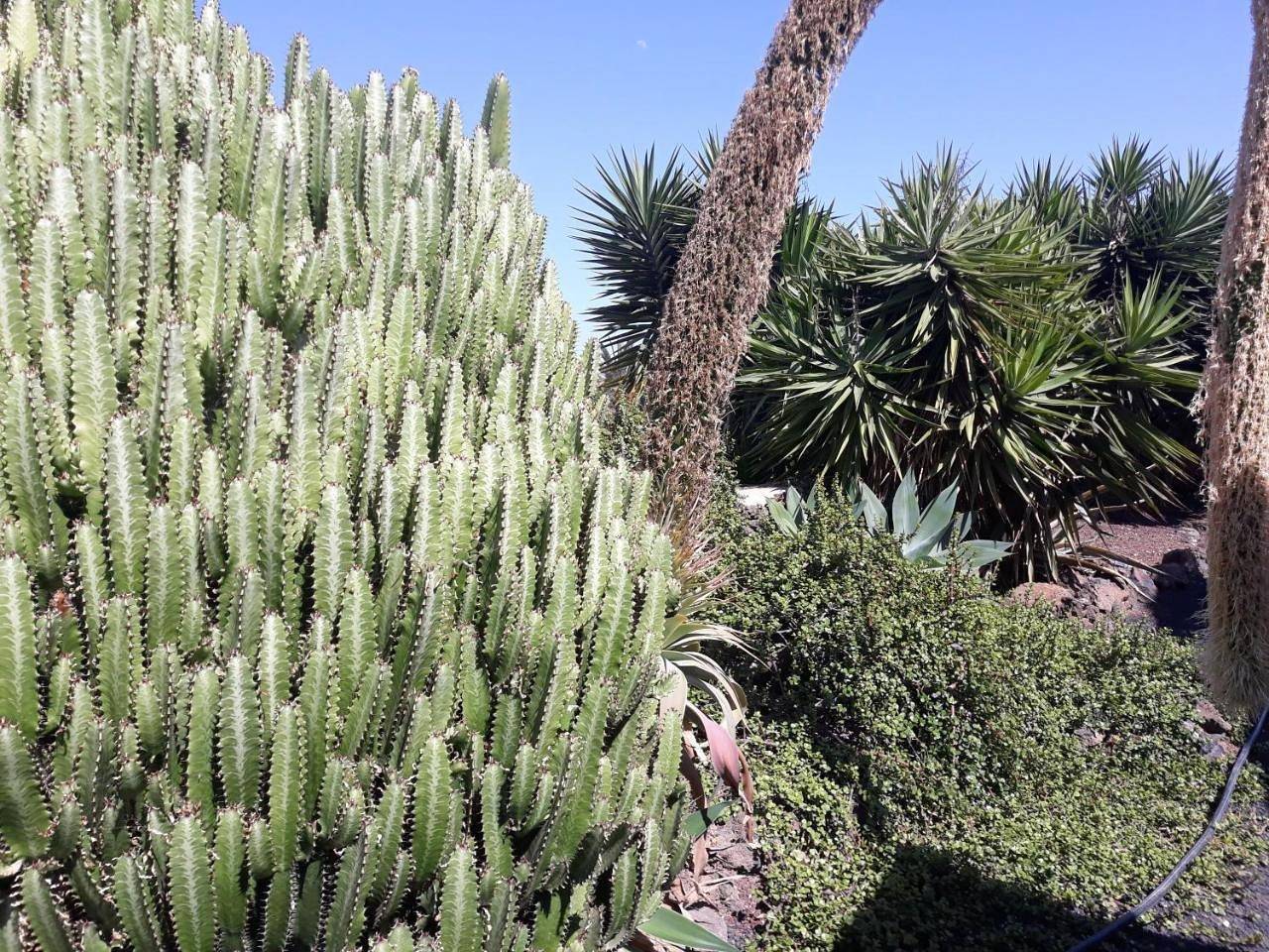Holiday Home in Lajares, La Oliva