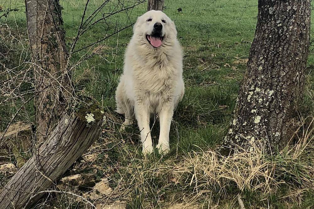 Gite Lasterenborda in Ossès, Bayonne und Umgebung