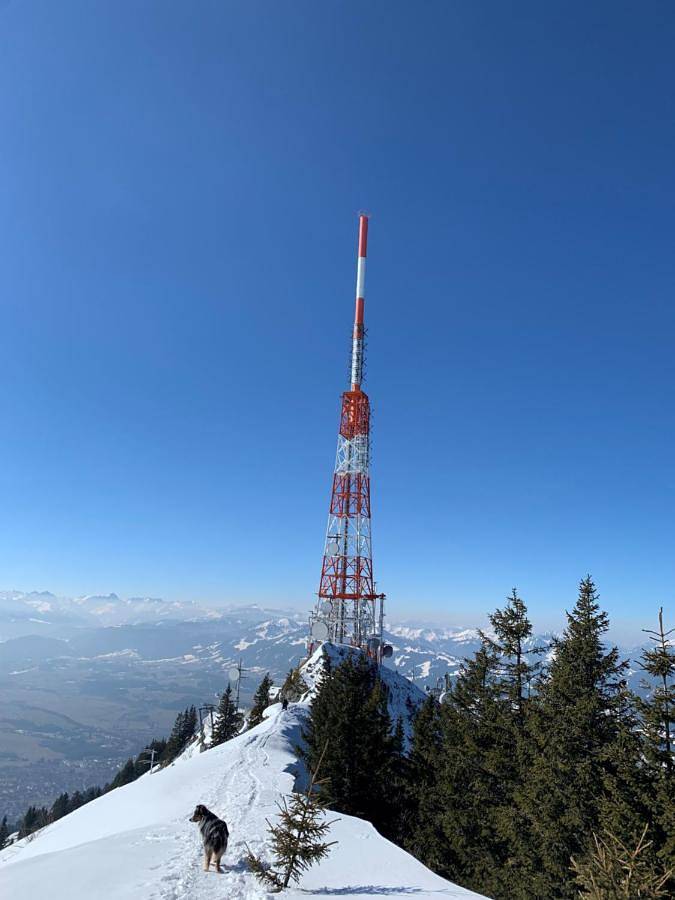 Ferienwohnung für 8 Personen, mit Balkon und Ausblick in Blaichach - 2