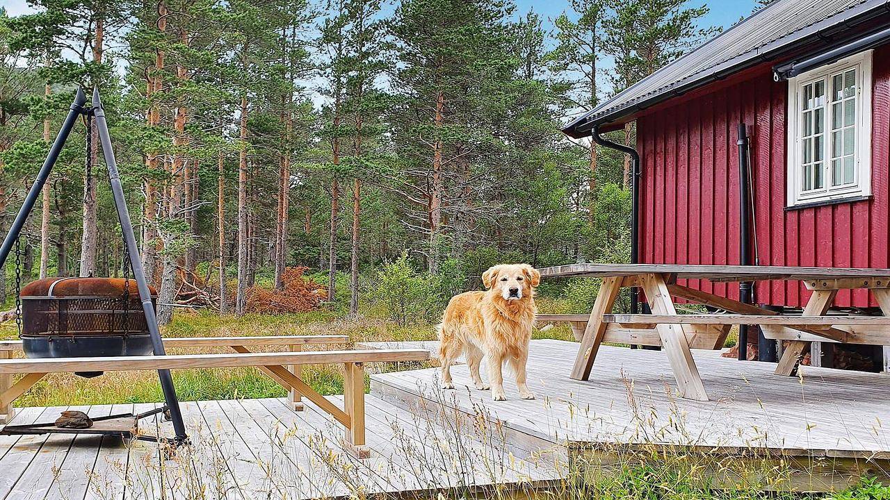 Ferienhaus für 6 Personen (92 m²) in Stygghaugen in Snillfjord