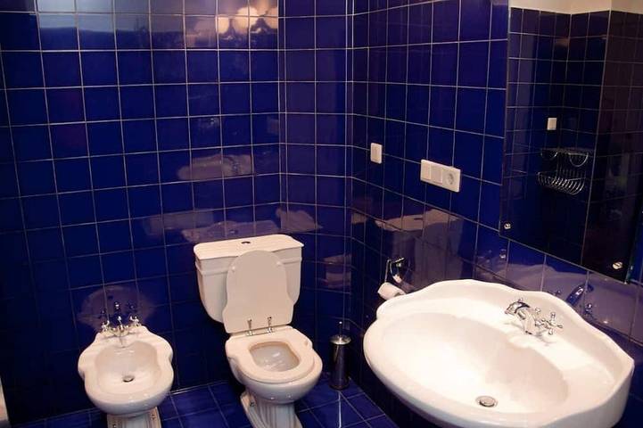 Raisa Gästehaus im Garten mit 2 Zimmer (Erdgeschoss 1. Stock, Küche, Luxusbad) in Preßbaum, Wien-Umgebung