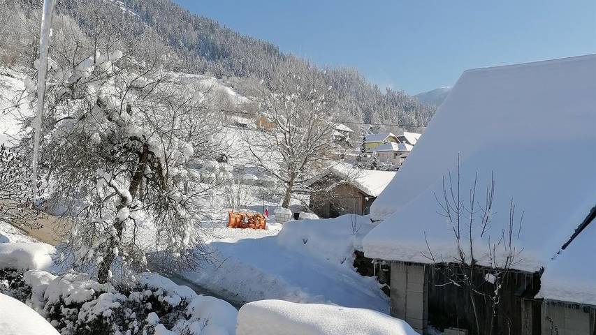Ferienwohnung für 5 Personen, mit Balkon und Garten am Millstätter See - 3