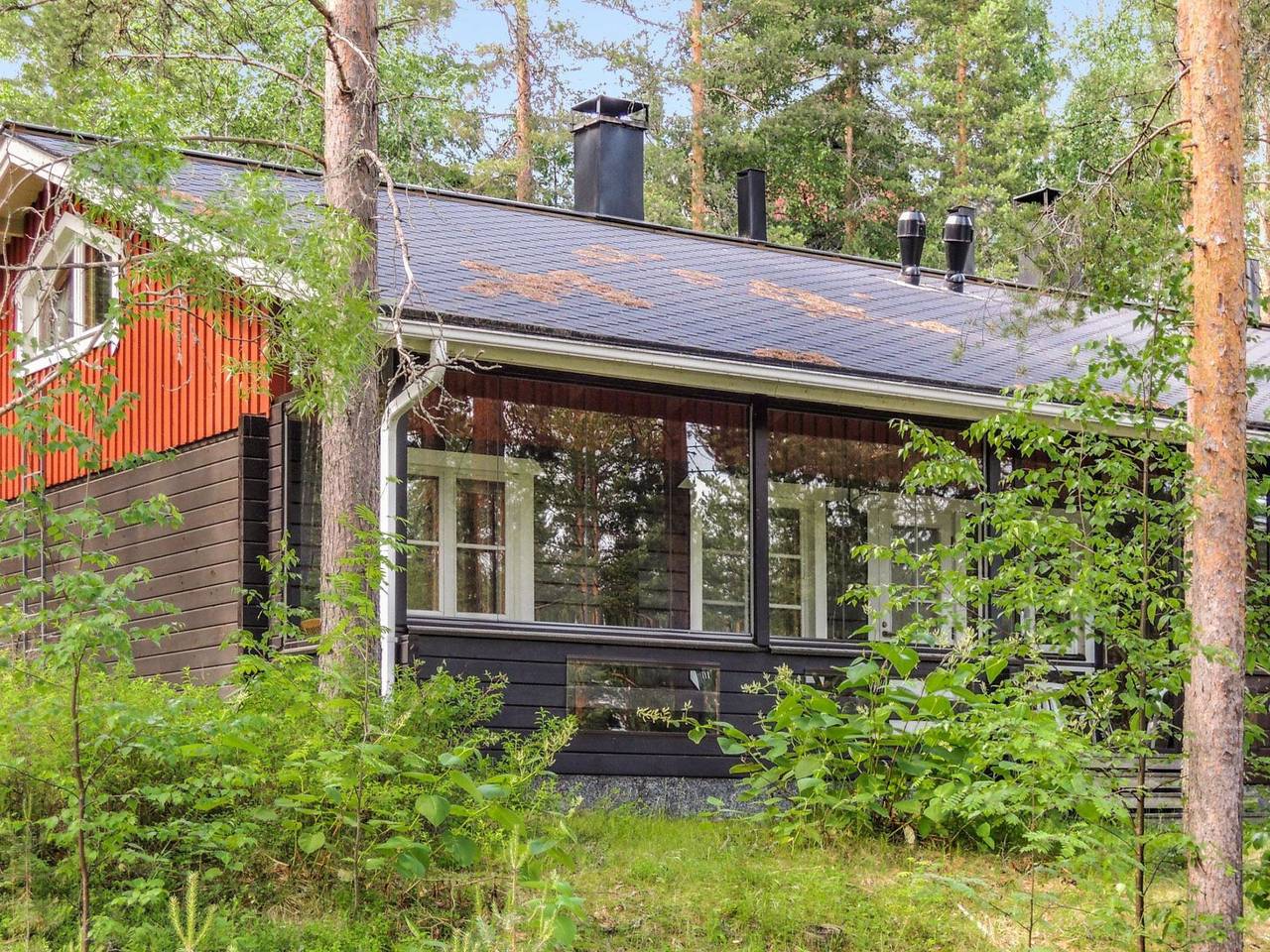 Luppo-koli in Loma-Koli, Pielinen