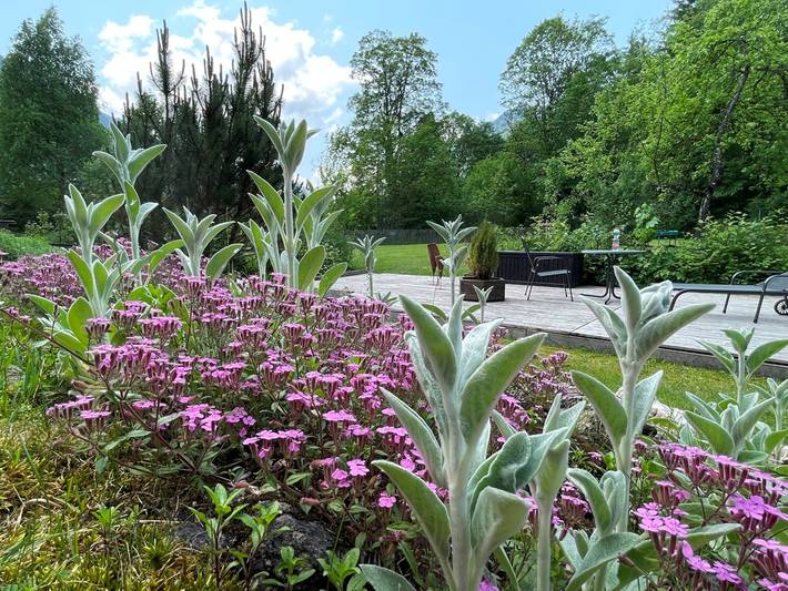 Ferienwohnung für 4 Personen, mit Sauna und Garten sowie Pool in Ruhpolding - 3