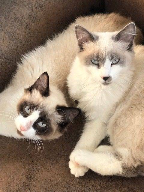 Location de vacances pour 2 personnes, avec jardin à Saint-Cast-le-Guildo - 4