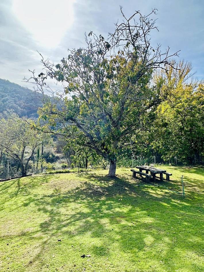Casa rural con piscina para 10 personas, con jardín y vistas al lago, Se admiten mascotas en Sierra Norte de Sevilla - 3