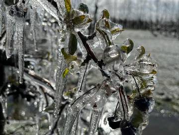 Ferienwohnung für 2 Personen in Hollern-Twielenfleth, Altes Land Stade, Bild 3