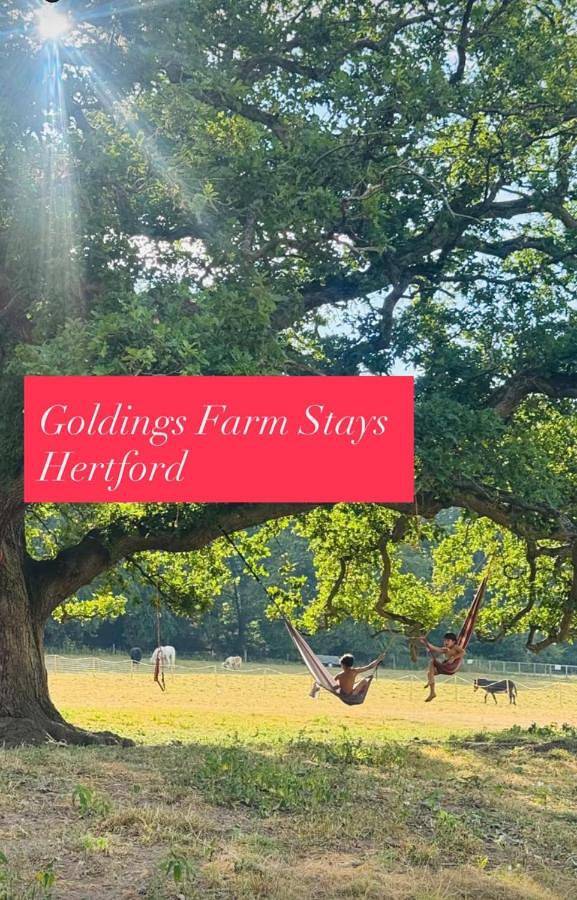 Glamping for 4 people, with Terrace and Garden as well as View and Lake view in Hertfordshire