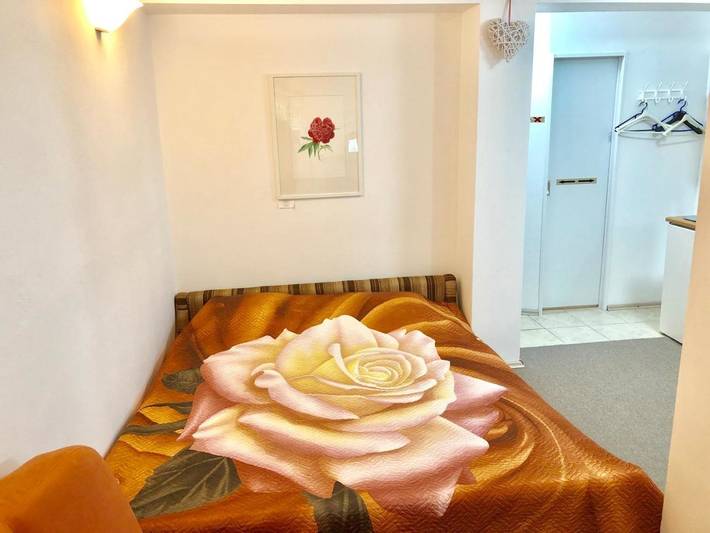 Gîte pour 6 personnes, avec jardin et vue à Ljubljana - 4