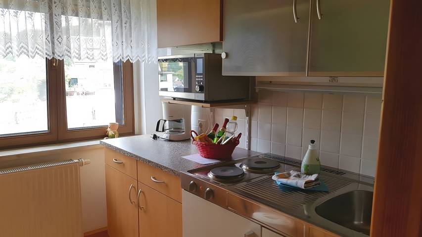 Appartement entier, Appartement de vacances Berndt in Meuselbach-Schwarzmühle, Thuringe orientale