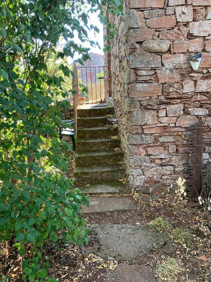 Location de vacances pour 3 personnes, avec jardin ainsi que terrasse et vue à Camarès - 2