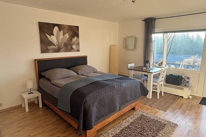 Ganze Wohnung, Panorama Haus - Appartement Pfänder / Ferienwohnung im Allgäu / Bodenseekreis in Wangen im Allgäu, Region Bodensee-Oberschwaben