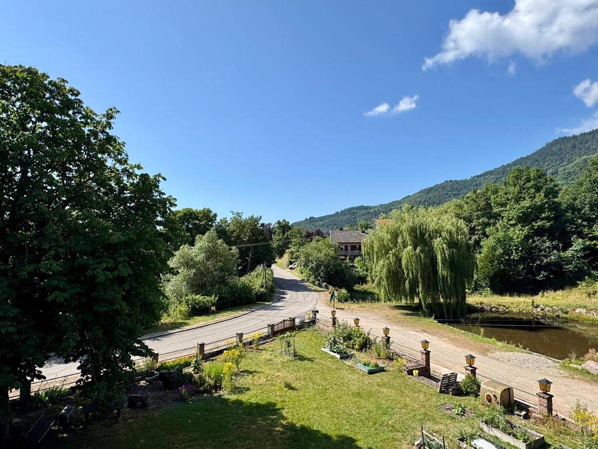Double Room with Balcony in Bergheim, Parc naturel régional des Ballons des Vosges