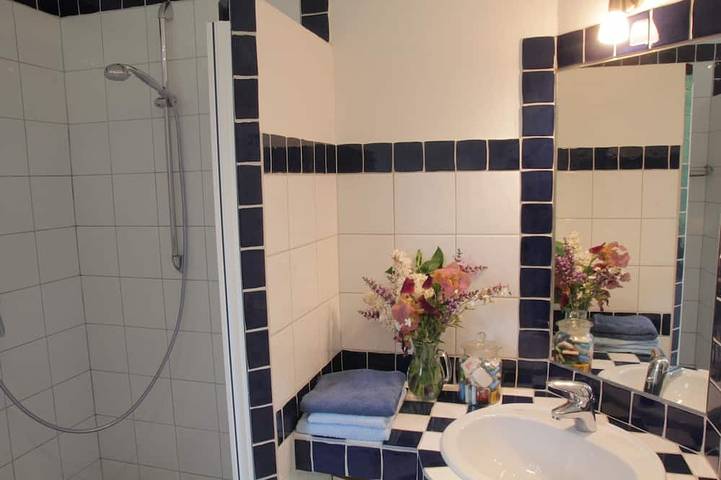 Location de vacances pour 5 personnes, avec piscine ainsi que terrasse et jardin, animaux acceptés à Sonnac-sur-l'Hers - 4