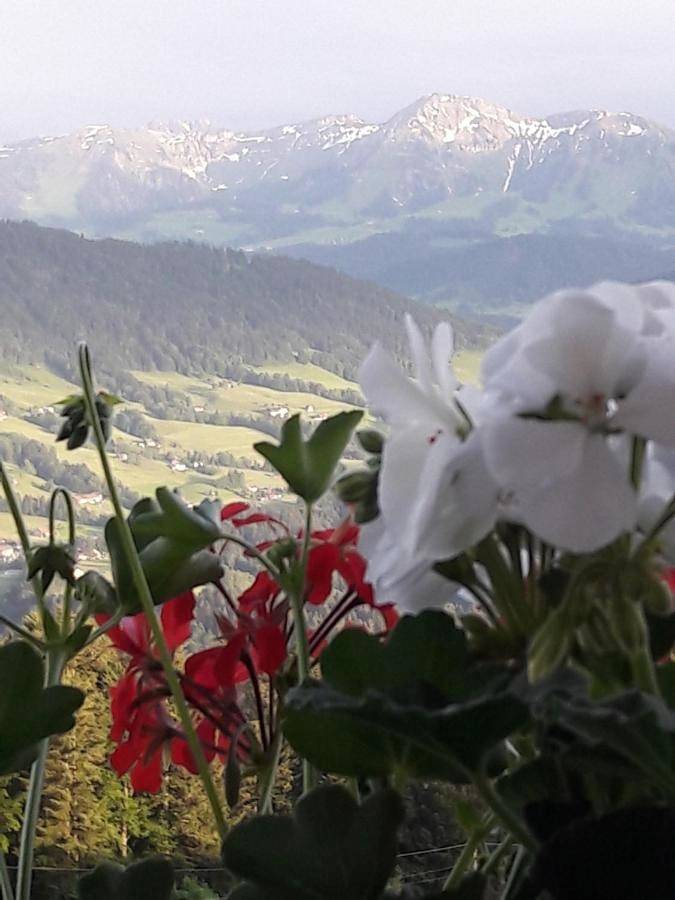 Ganze Wohnung, Two-Bedroom Apartment in Sulzberg (Österreich), Bodensee-Vorarlberg