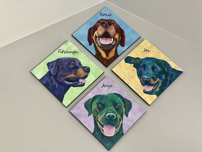 Vacation house for 6 people, with terrace in Pigeon Forge