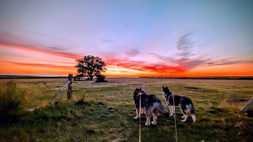 Ferienhaus für 10 Personen, mit Garten, mit Haustier in Fuhlendorf - 3