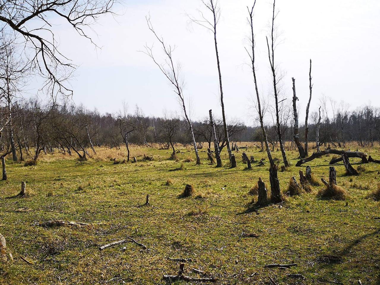 10 personas casa en Dragør-By Traum in Amager, Dragør