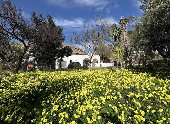 Apartamento para 8 personas, con Jardín en Níjar