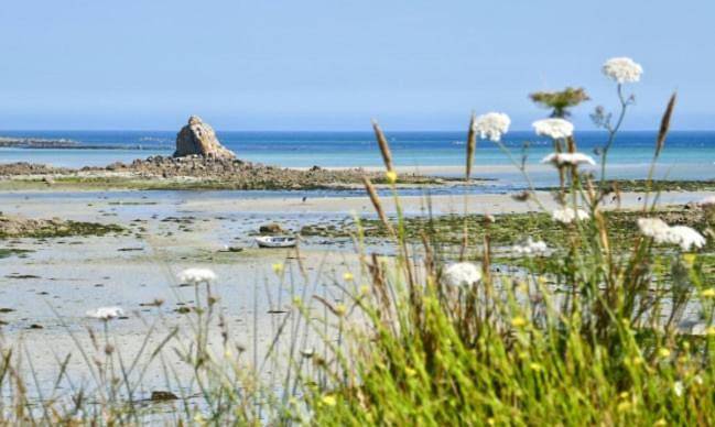Location de vacances pour 2 personnes, avec jardin et jacuzzi à Lanhouarneau - 4
