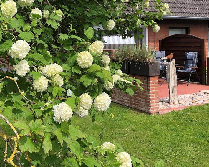 Ferienwohnung für 2 Personen, mit Garten in Garding - 2