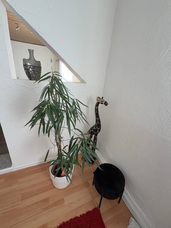 Ferienwohnung für 10 Personen, mit Garten in Siegen - 4