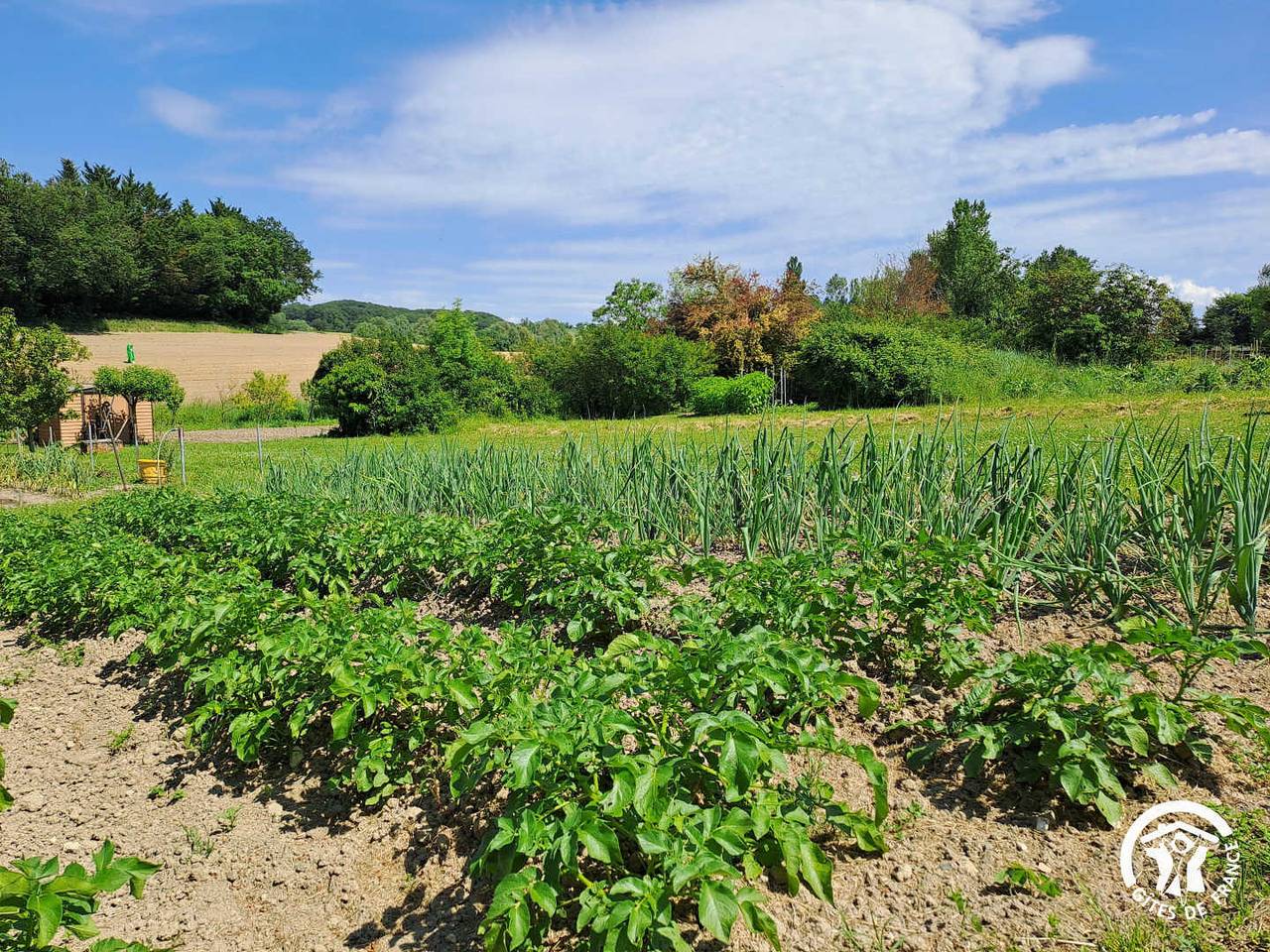 Les jardins de Vénès in Vénès, Région de Castres