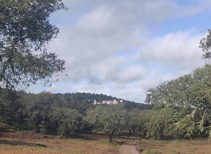 Chambre d’hôte pour 2 personnes, avec vue ainsi que piscine et jardin à Estremoz - 2